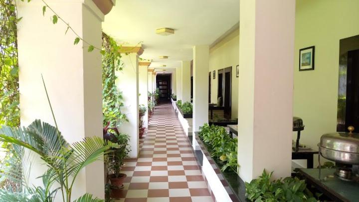Gajapati ! Near Sea-beach-sea-view-room-and-temple-fully-air-conditioned-hotel With Garden-and-parking-facility Puri